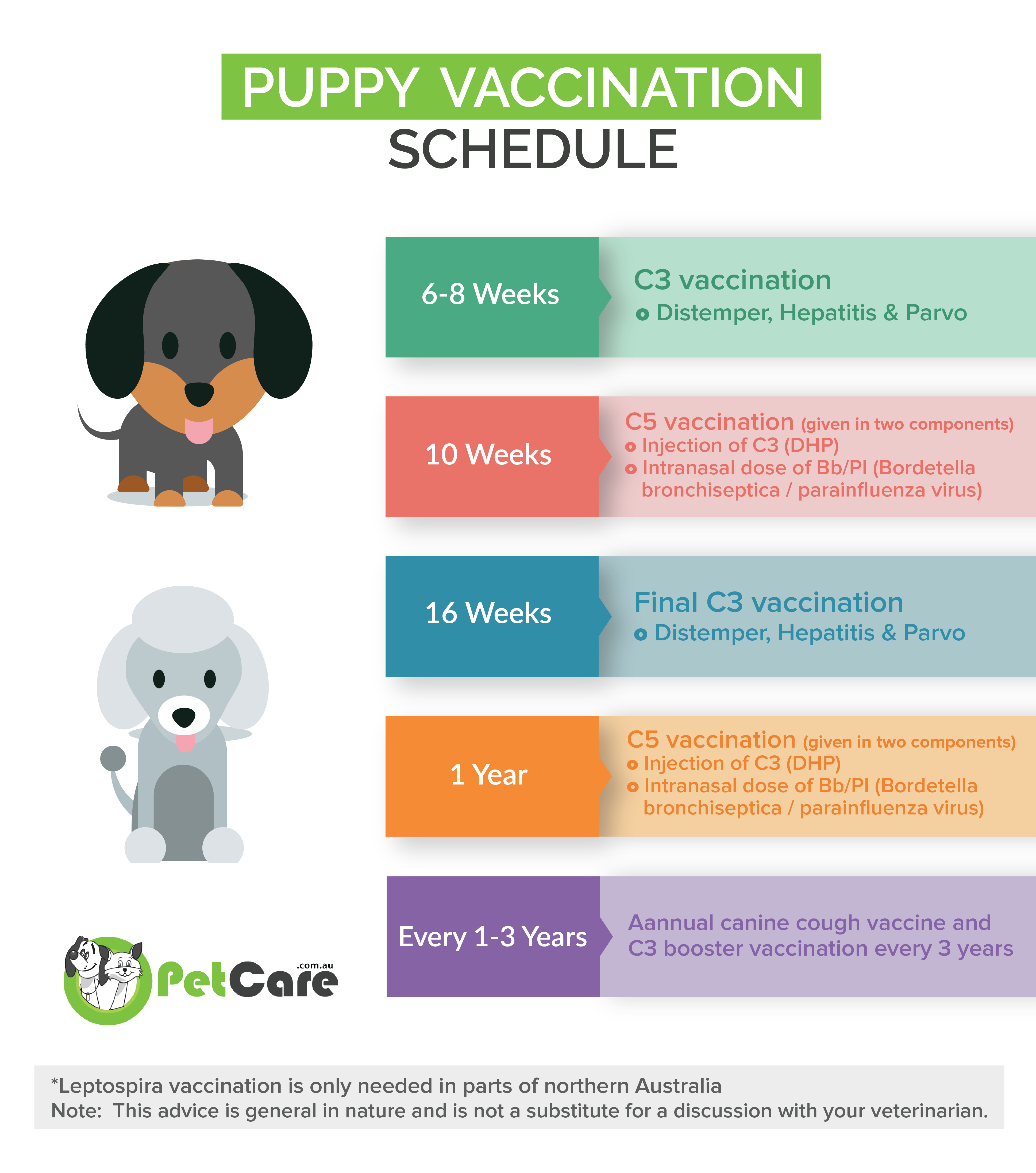 Puppy vaccination Schedule