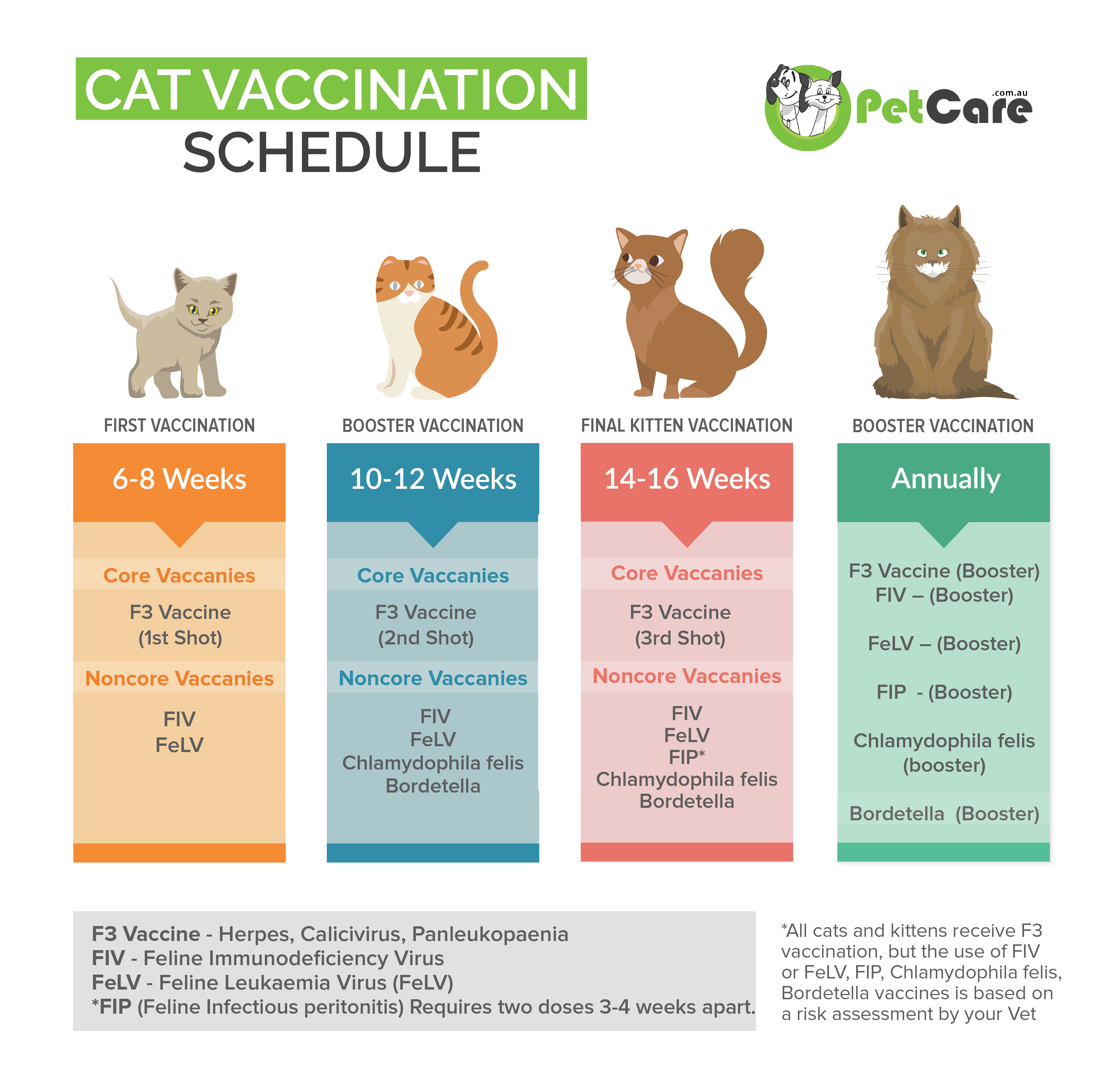 Cat Vaccination schedule, kitten to Cat timeline